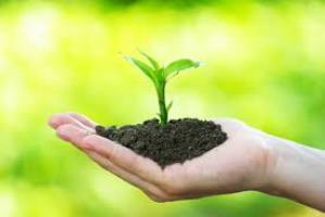 ISO 14001
